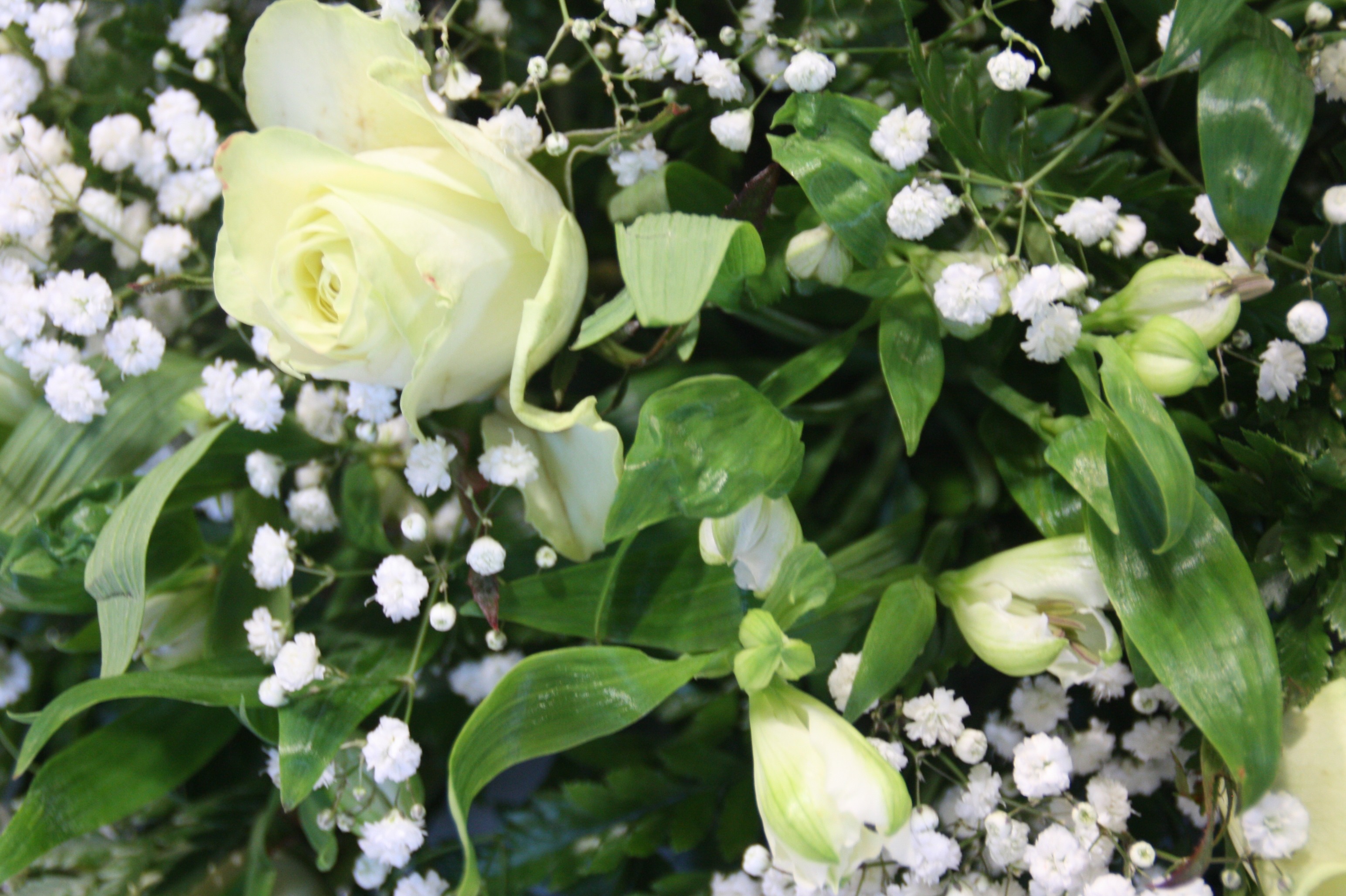rouwstuk roos alstromeria wit